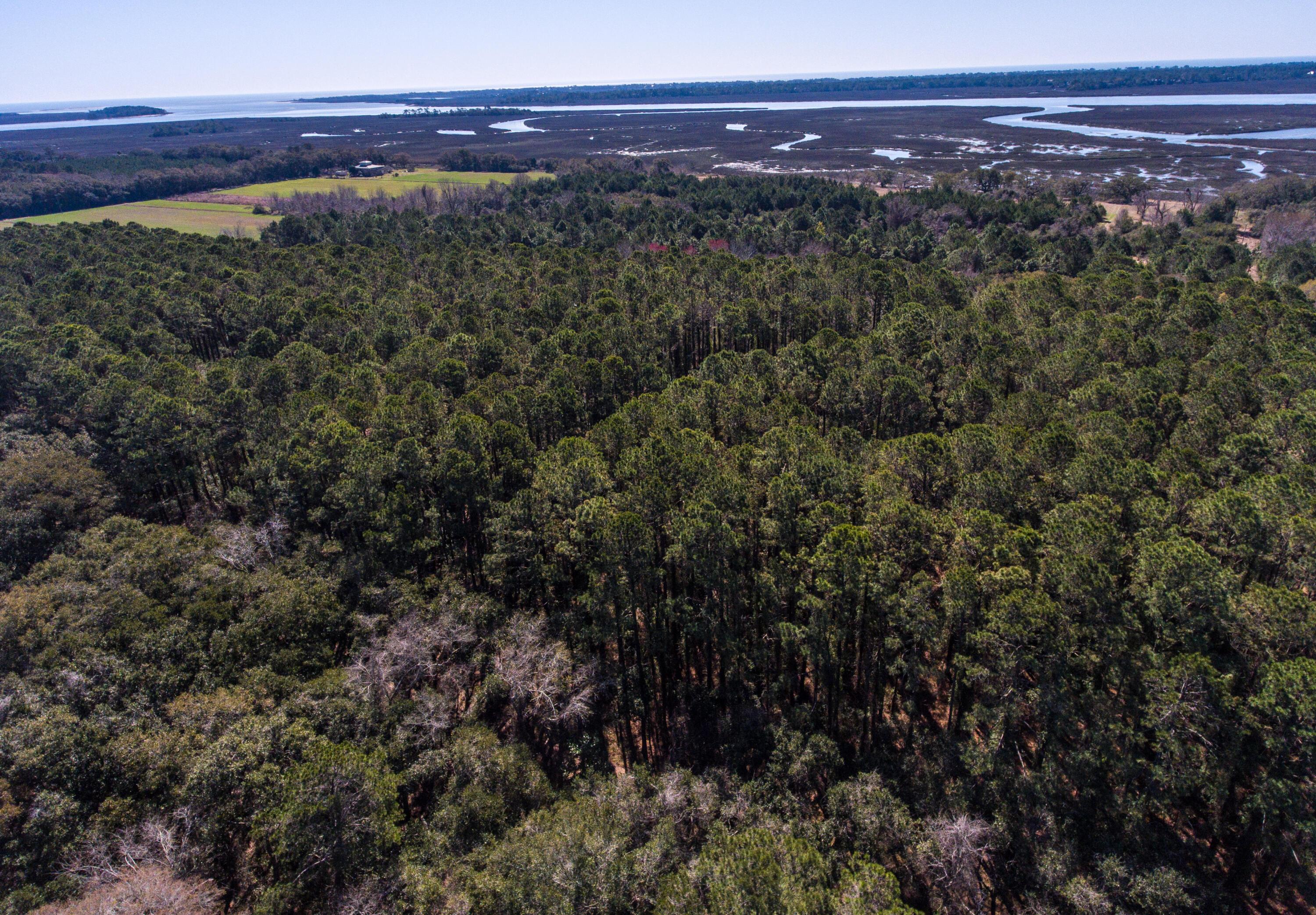 Image 4: 3495 Legareville Rd_Brett Martin Photogr