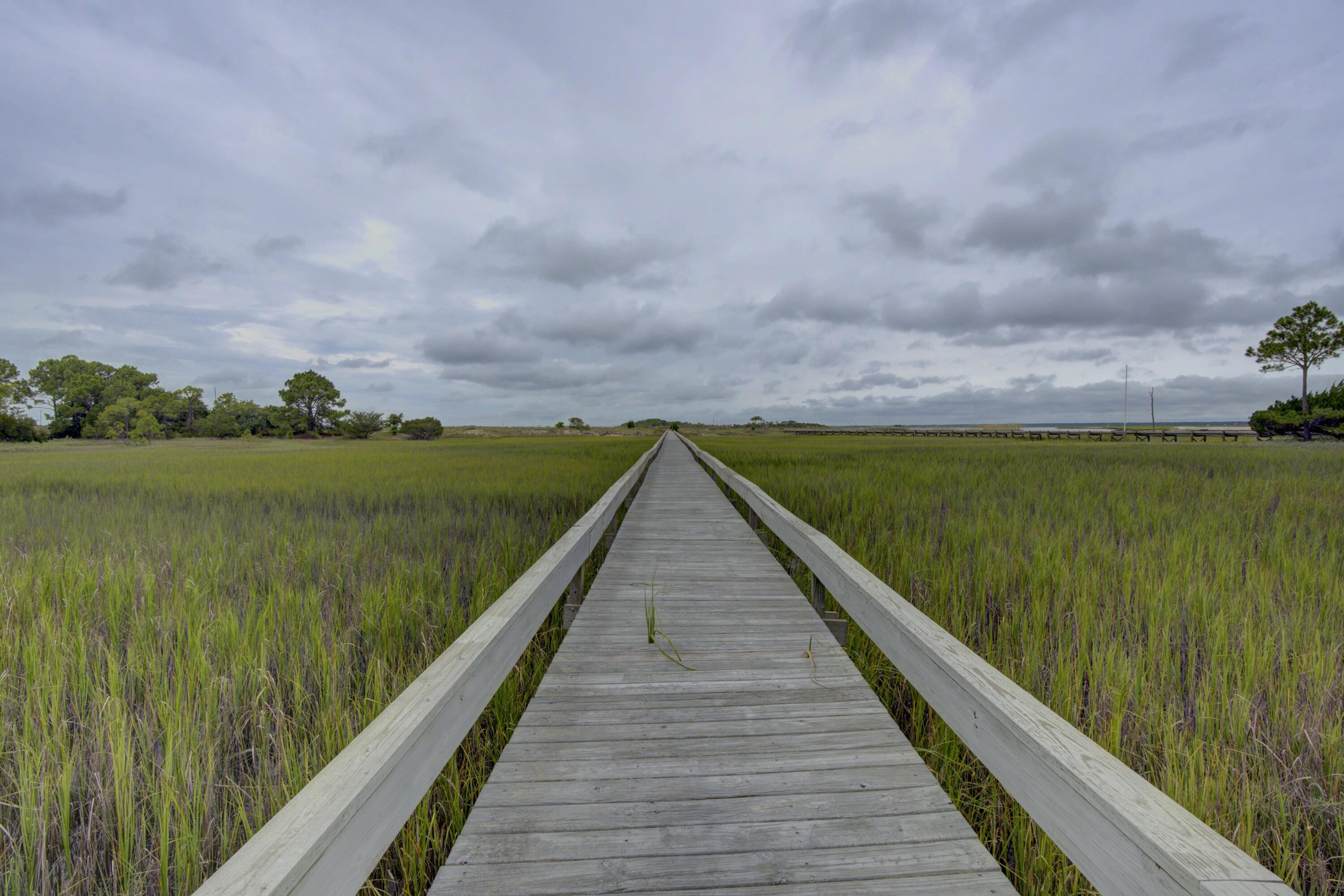 Image 3: _DSC7248_49_50_51_52
