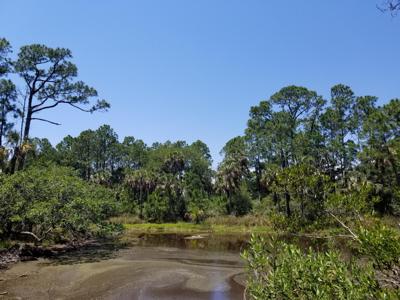 53 Blue Heron Pond Road