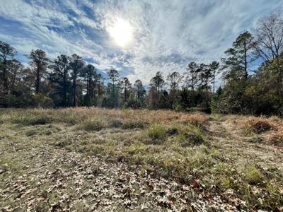 Gaited Horse Road, Meggett SC 29449
