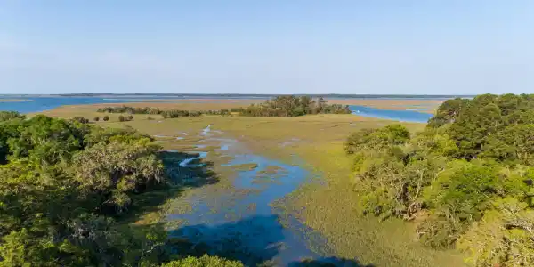 Midge Road, Wadmalaw Island SC 29487
