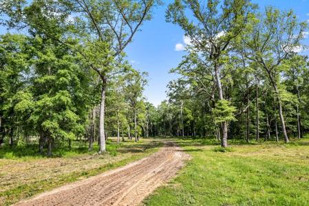 Allandale Plantation Road