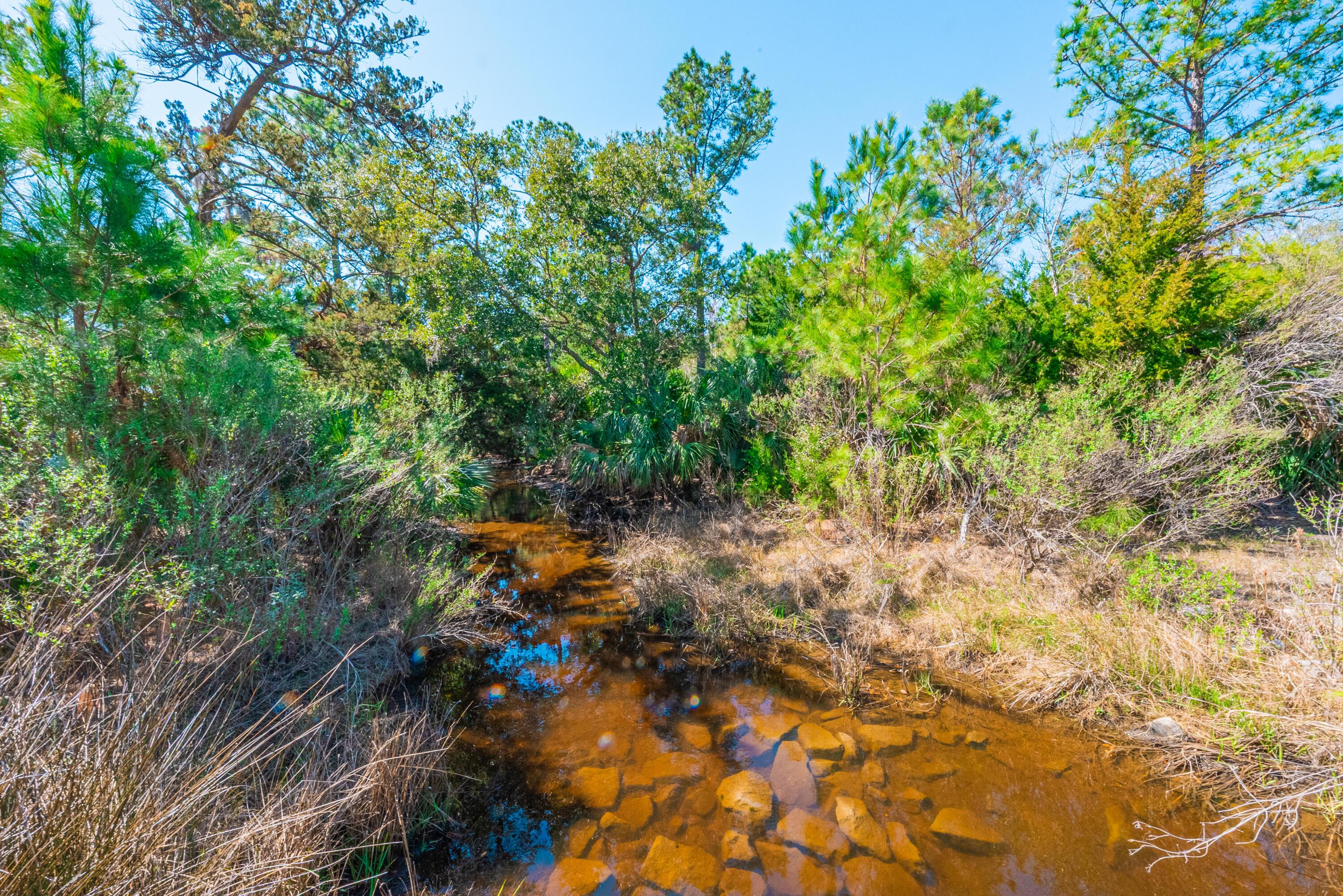 Image 1: AUSTINMARVELS.COM-07127