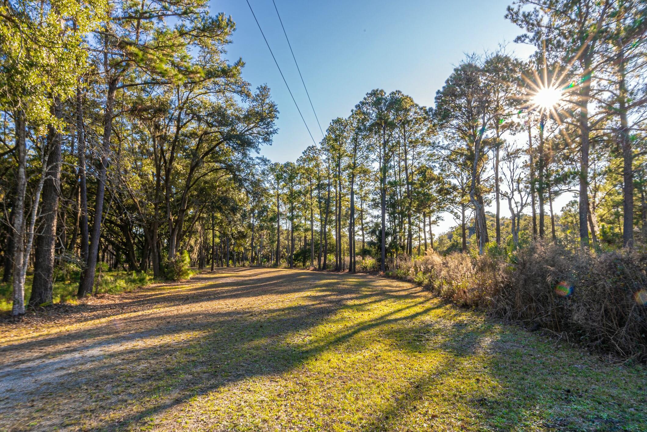 Image 4: 9480CF39-EFF2-4B53-A5A8-ABA4F2415B06