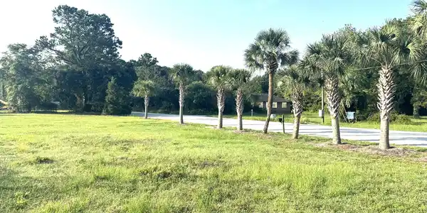 Image 3: IMG_8554
