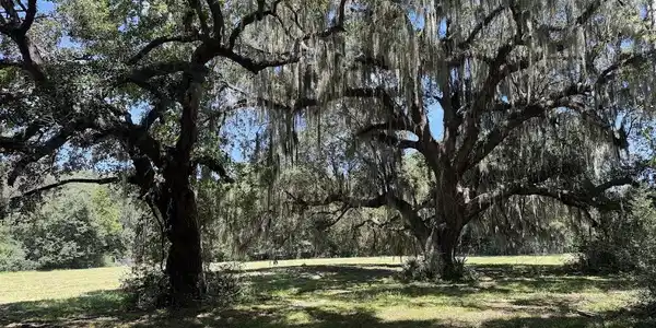 7817 Little Britton Road (Lot A-4)