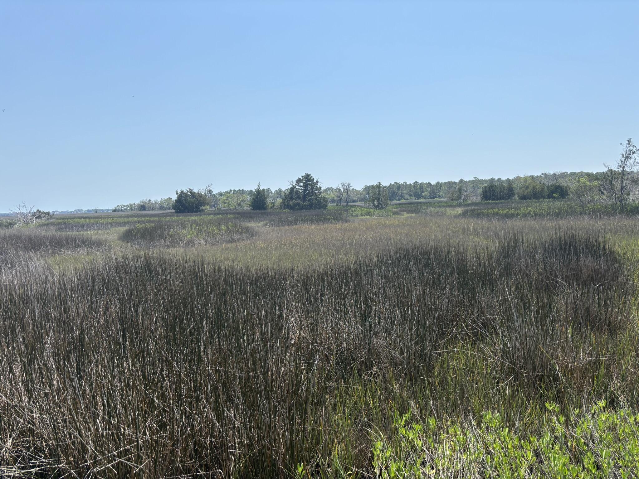 Image 1: IMG_2288
