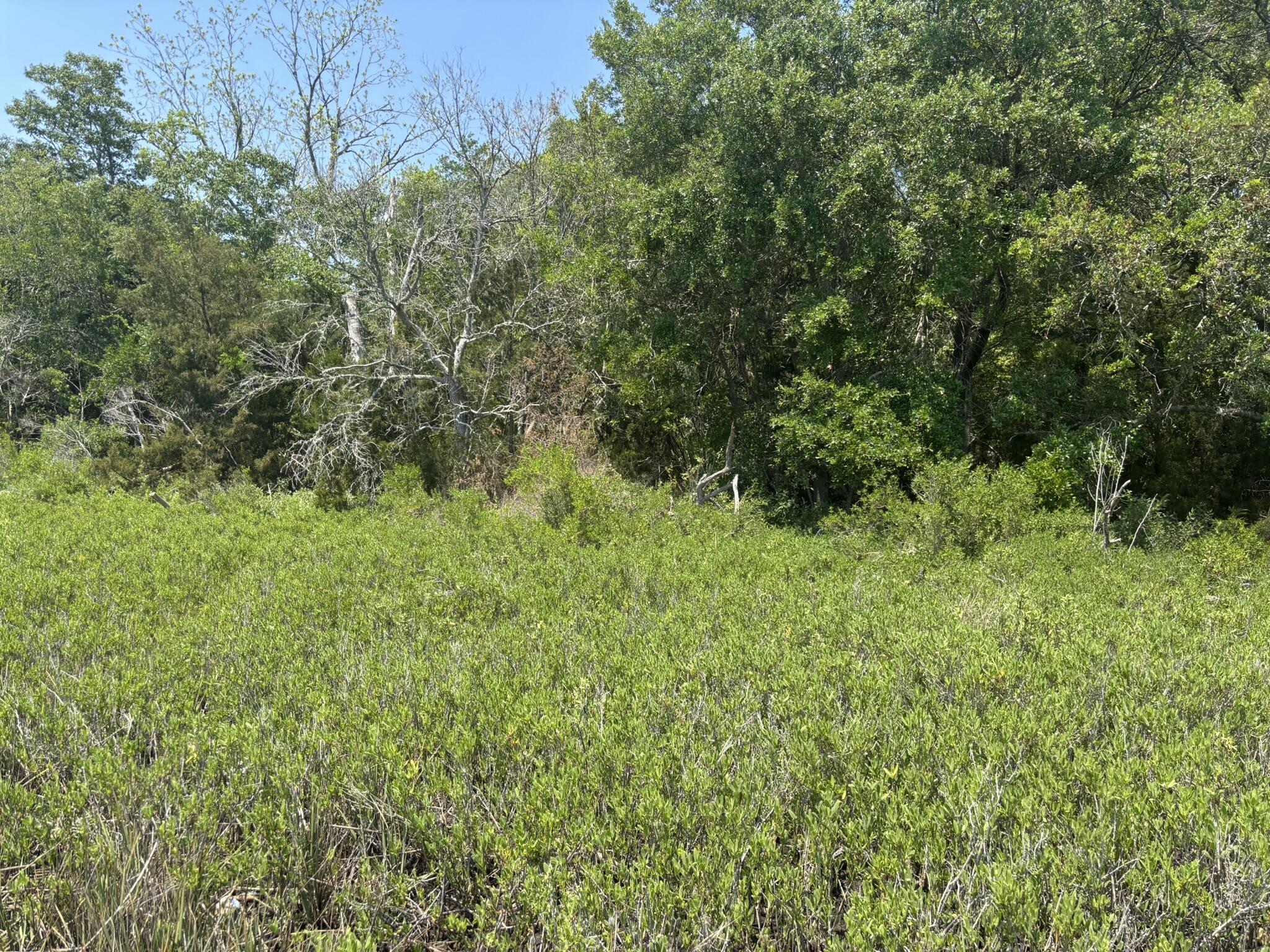 Image 3: IMG_2289