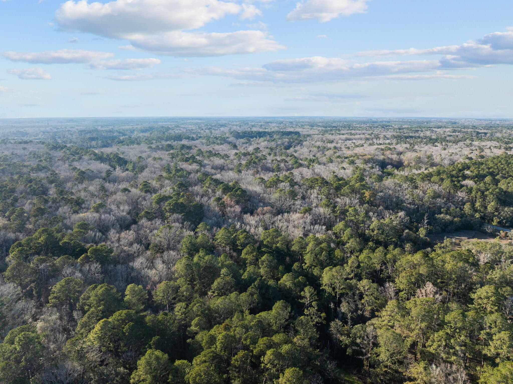 Image 4: 7-web-or-mls-DJI_0043