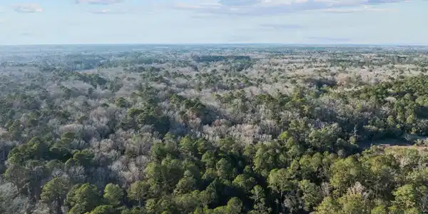 Image 4: 7-web-or-mls-DJI_0043