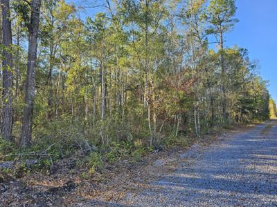 3115 Donnelly Lane, Johns Island SC 29455