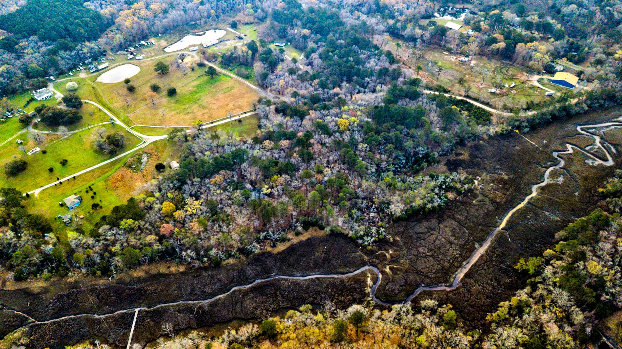 Image 2: creek and marsh