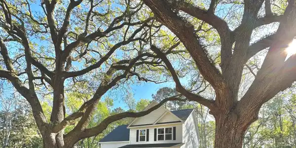 274 Woodland Shores Road