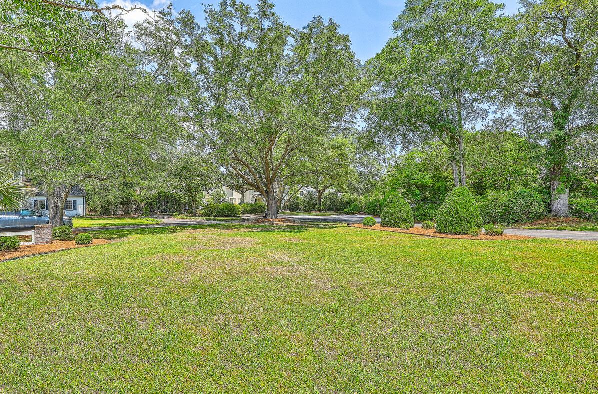 Image 4: 17 Johnson Road front yard