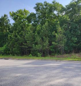 Hamlin Road