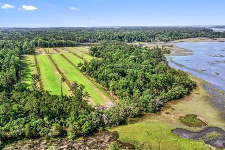 Allandale Plantation Road