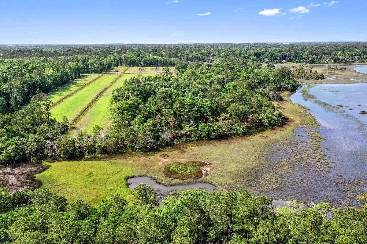 Image 2: ALLENDALE PLANTATION-3