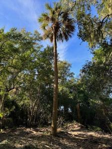 546 Oristo Ridge Road