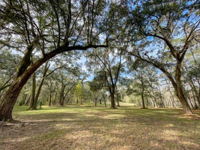 1700 Liberia Road, Wadmalaw Island SC 29487