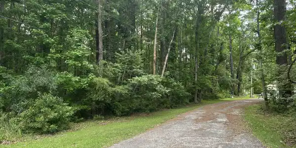 Image 3: Lot on the left