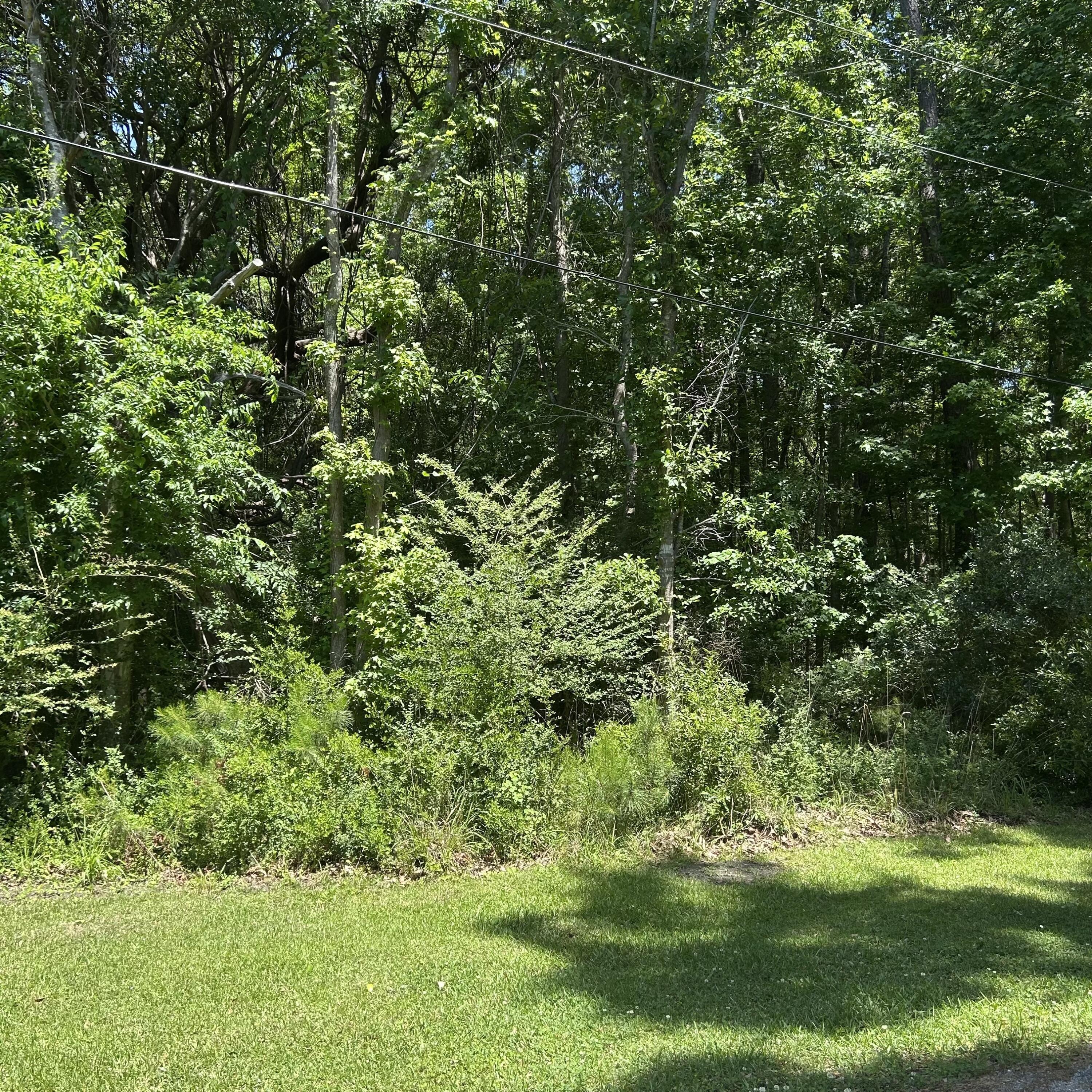 Image 4: Pritchard Green Rd
