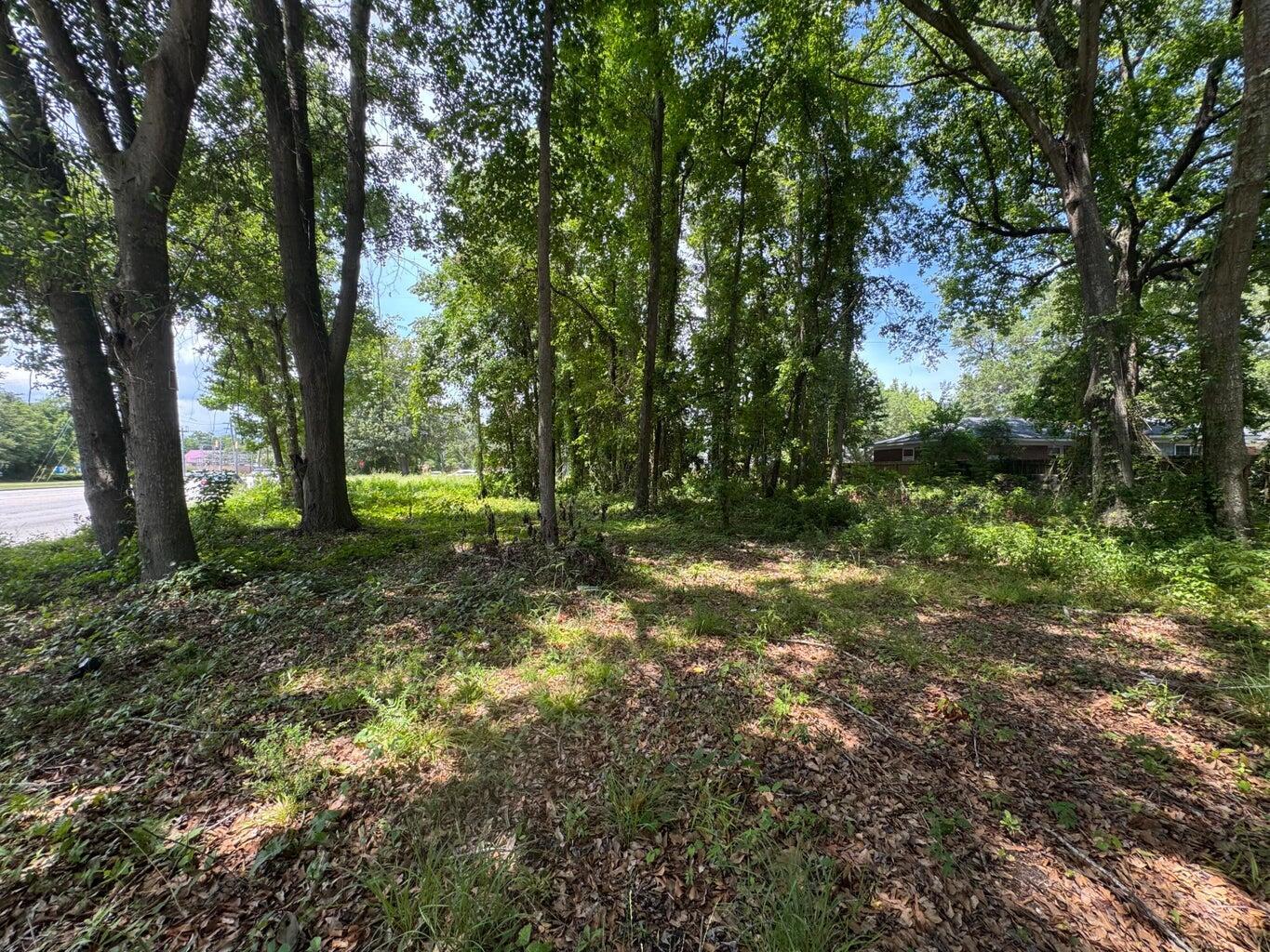 Image 2: 1206 Folly Corner with Trees