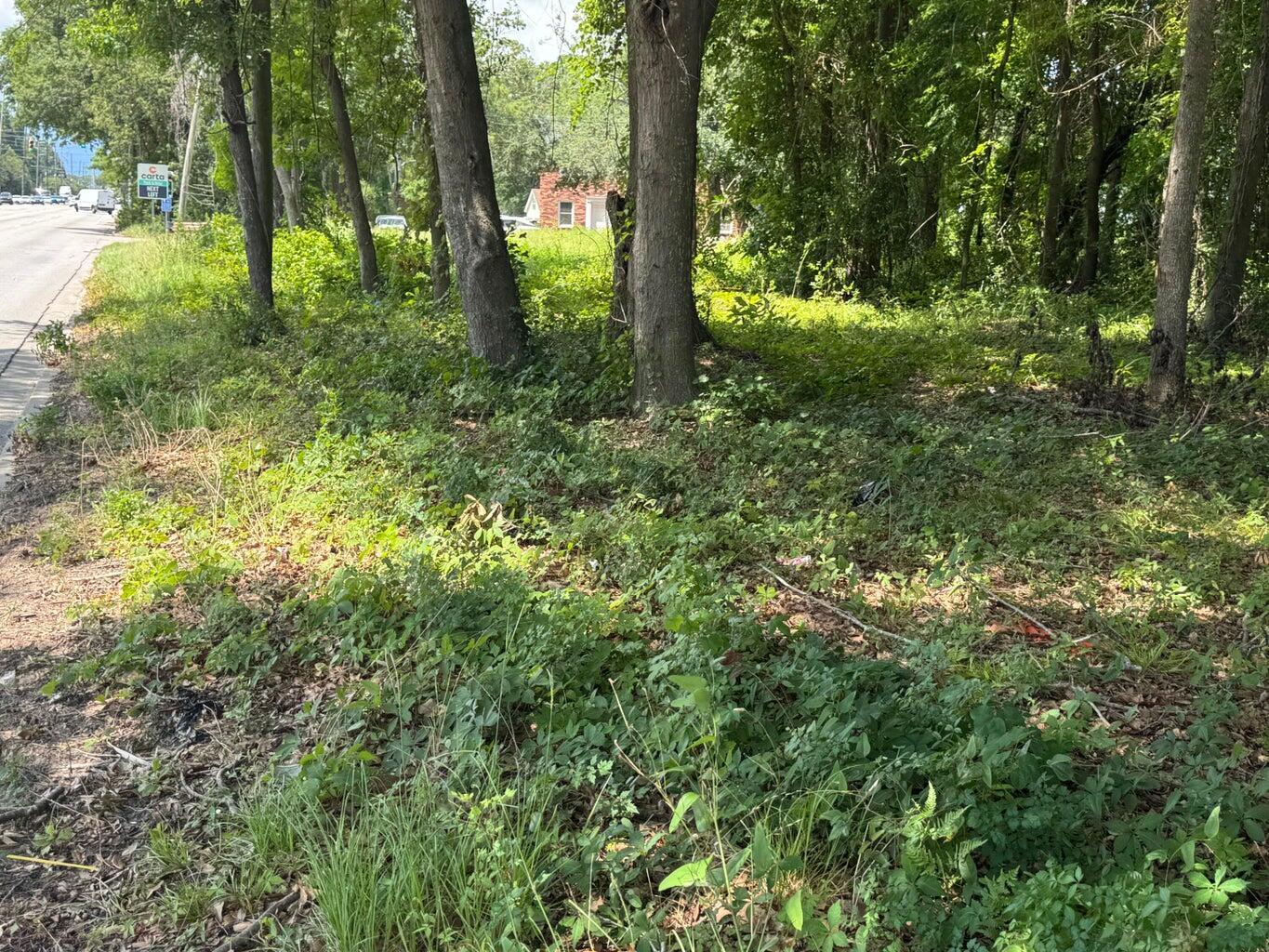 Image 3: Along sidewalk looking toward city -o