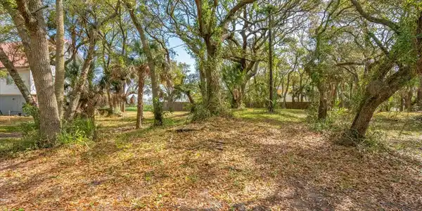 1214 B Tabby Drive