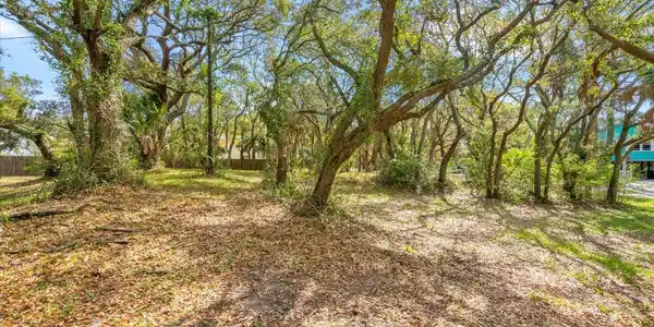 Image 3: Hogh Land Lot