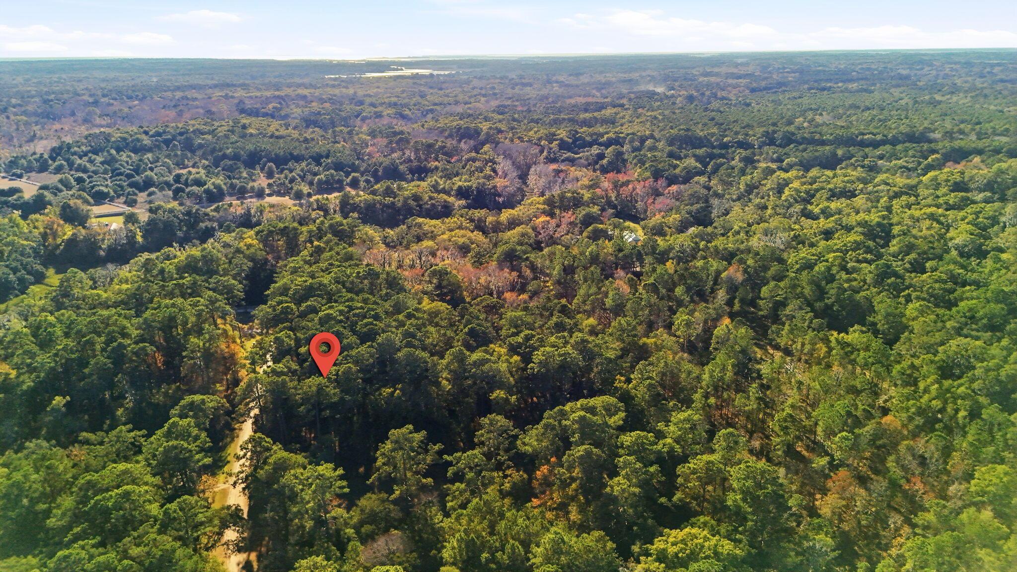 Image 4: 23-web-or-mls-004_DJI_20251210144220_001