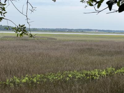 2017 Paul Chavis Lane, James Island SC 29412