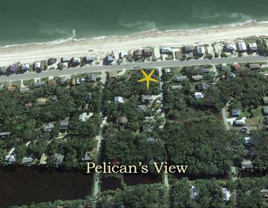 805 Palmetto Boulevard