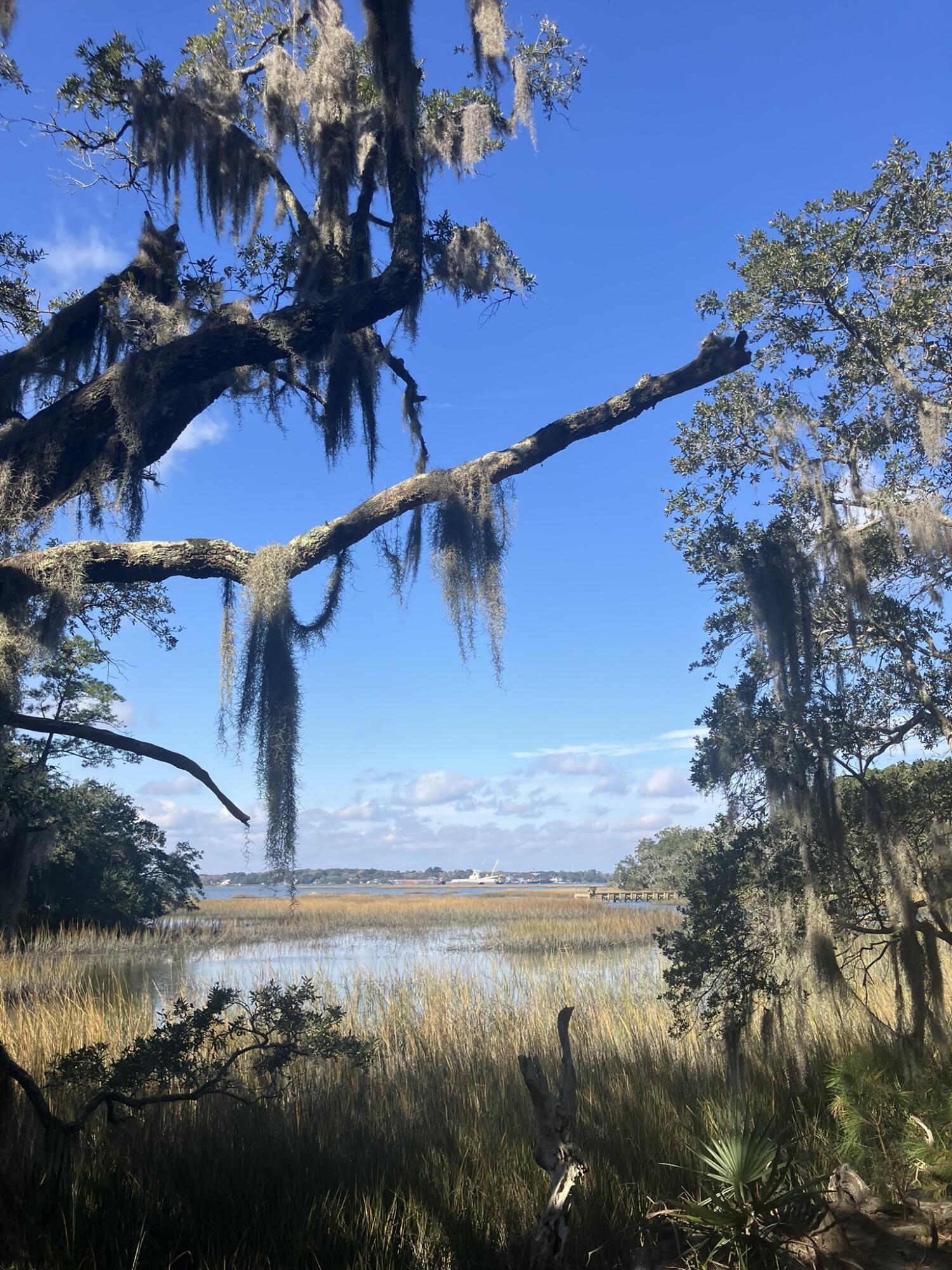 Image 3: IMG_7127