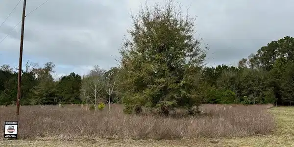 Lot 19 Berry Manor Lane