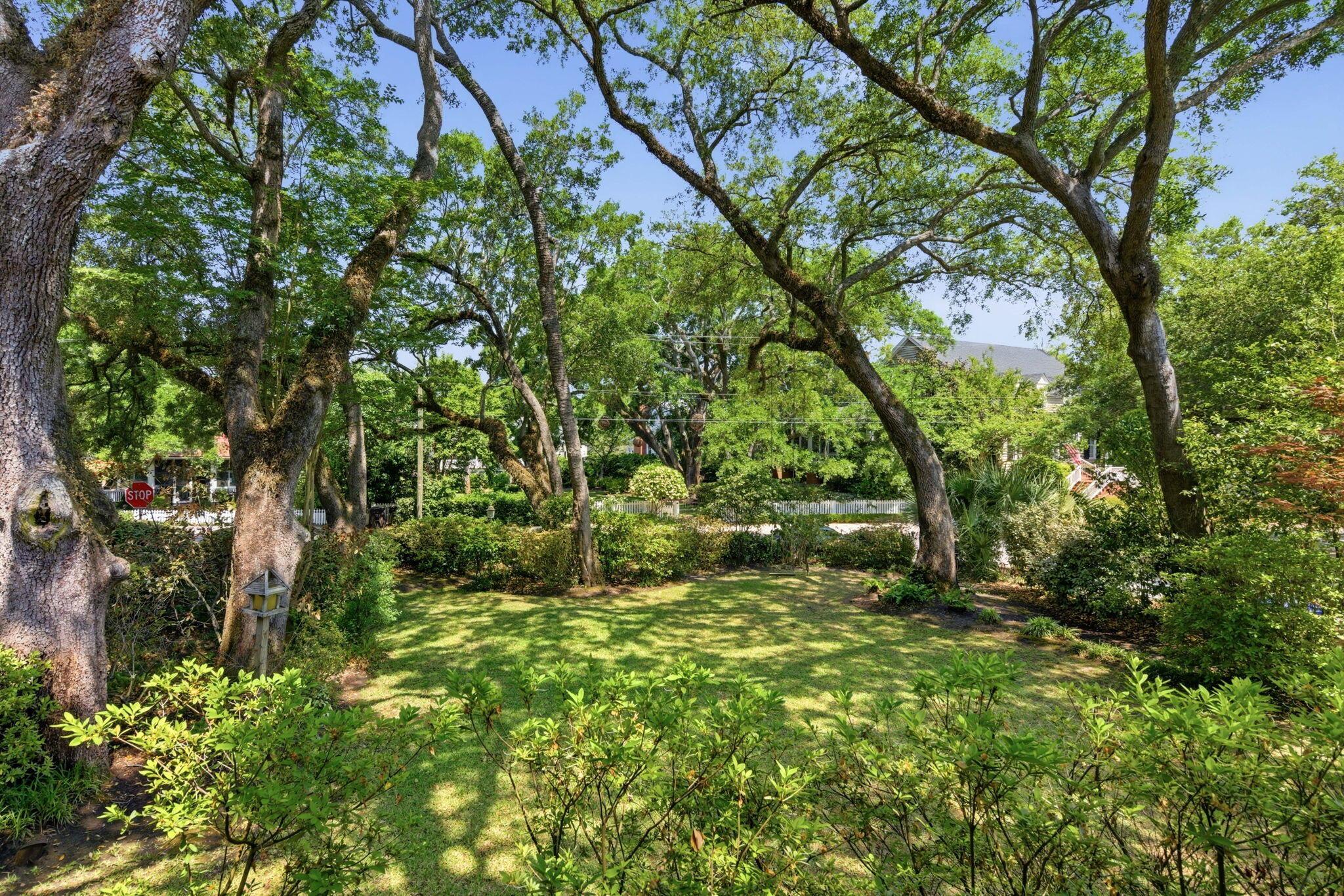 Image 4: Yard