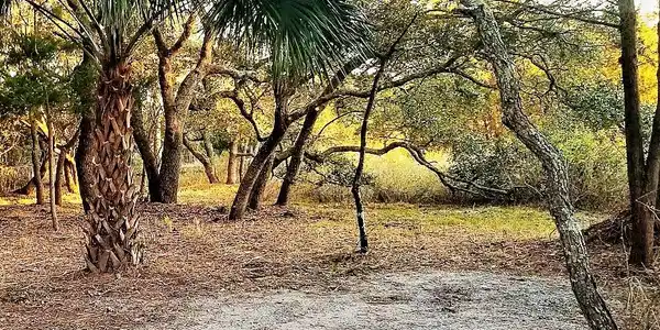 1211 Tabby Drive, Folly Beach SC 29439