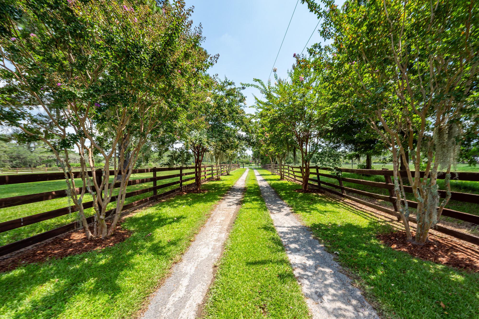 Image 3: Driveway