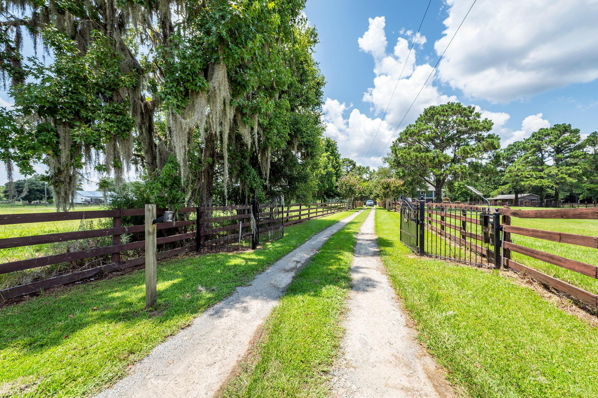 Image 4: Driveway