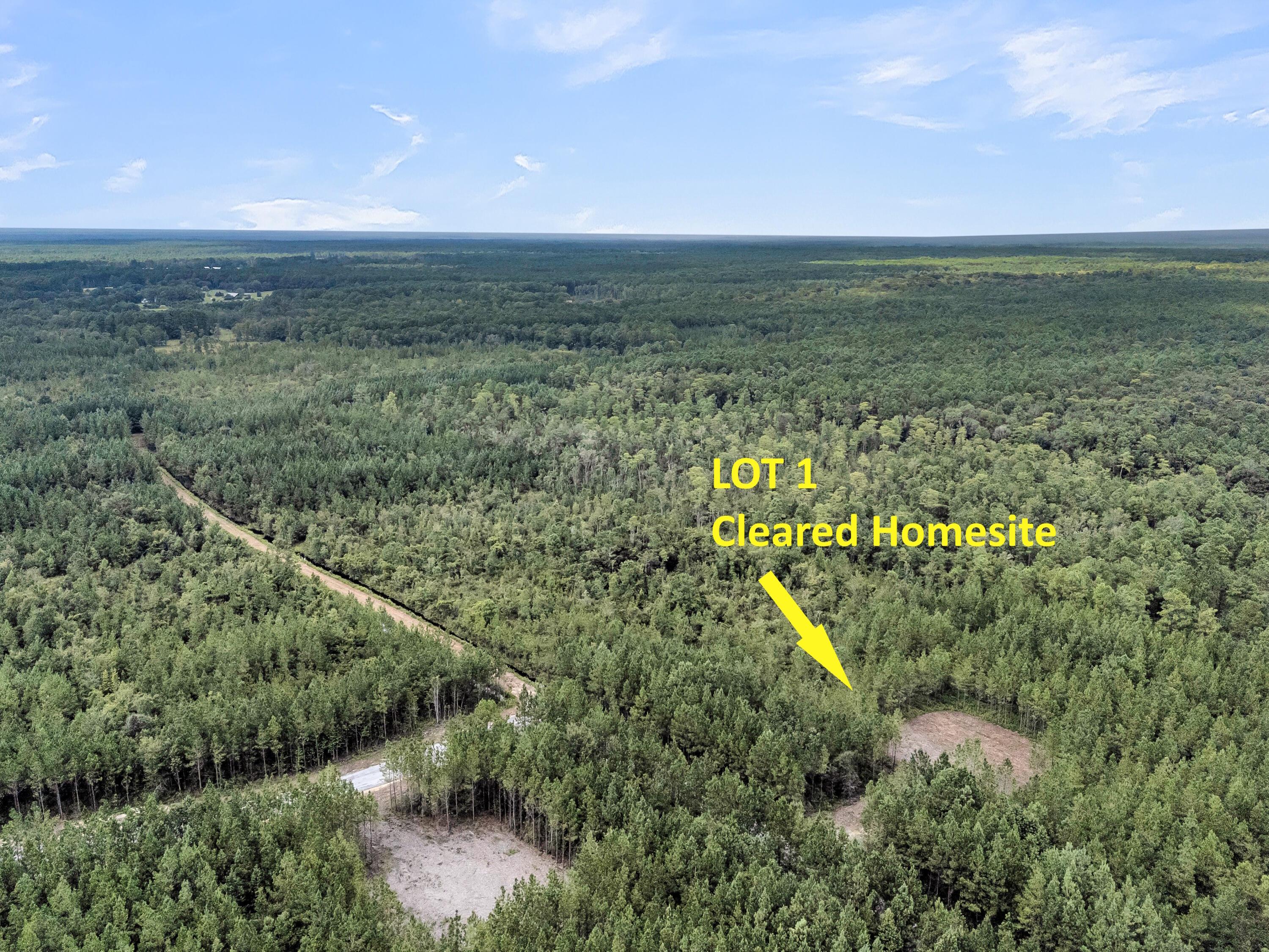 Image 3: CREM - 0 Silas Rd-6arrow lot 1 only