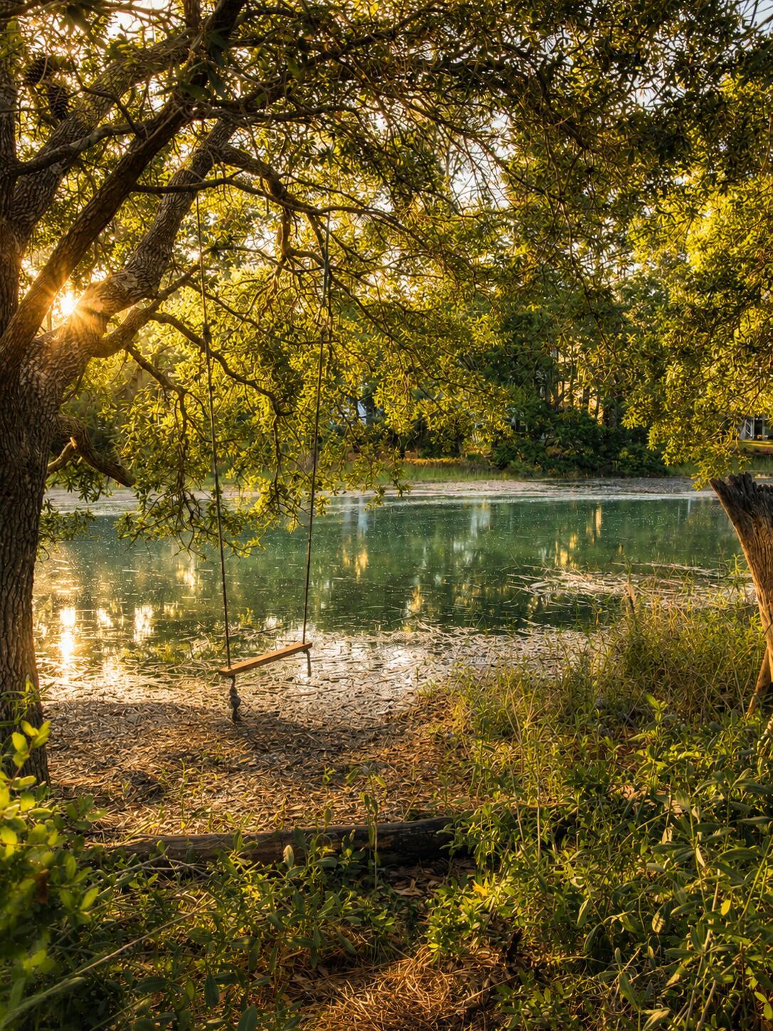 Image 4: Swing over the water