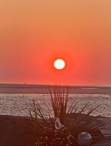 125 Seaspray Court