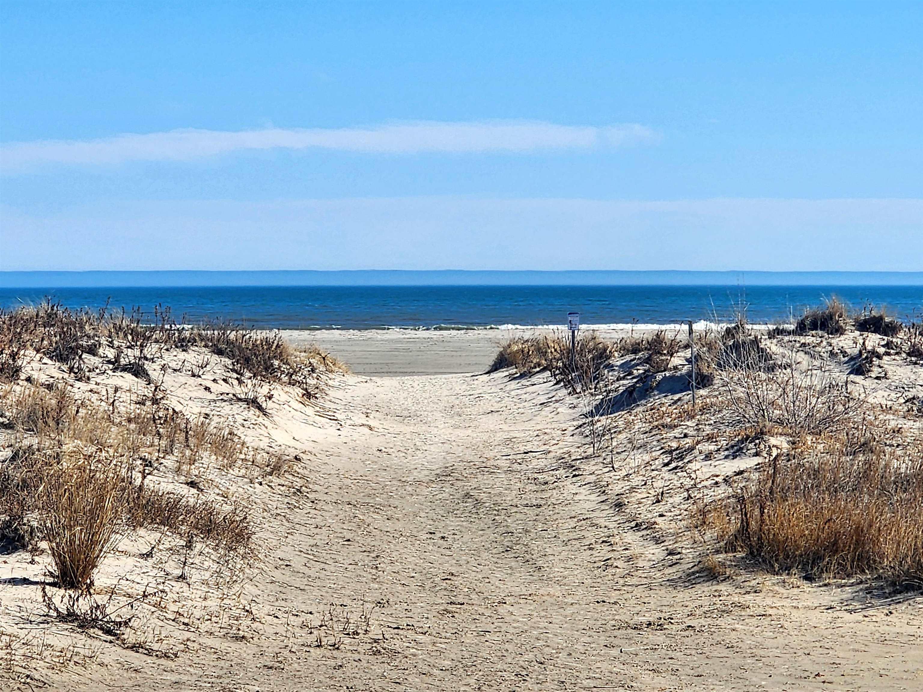 Image 3: Area Attraction