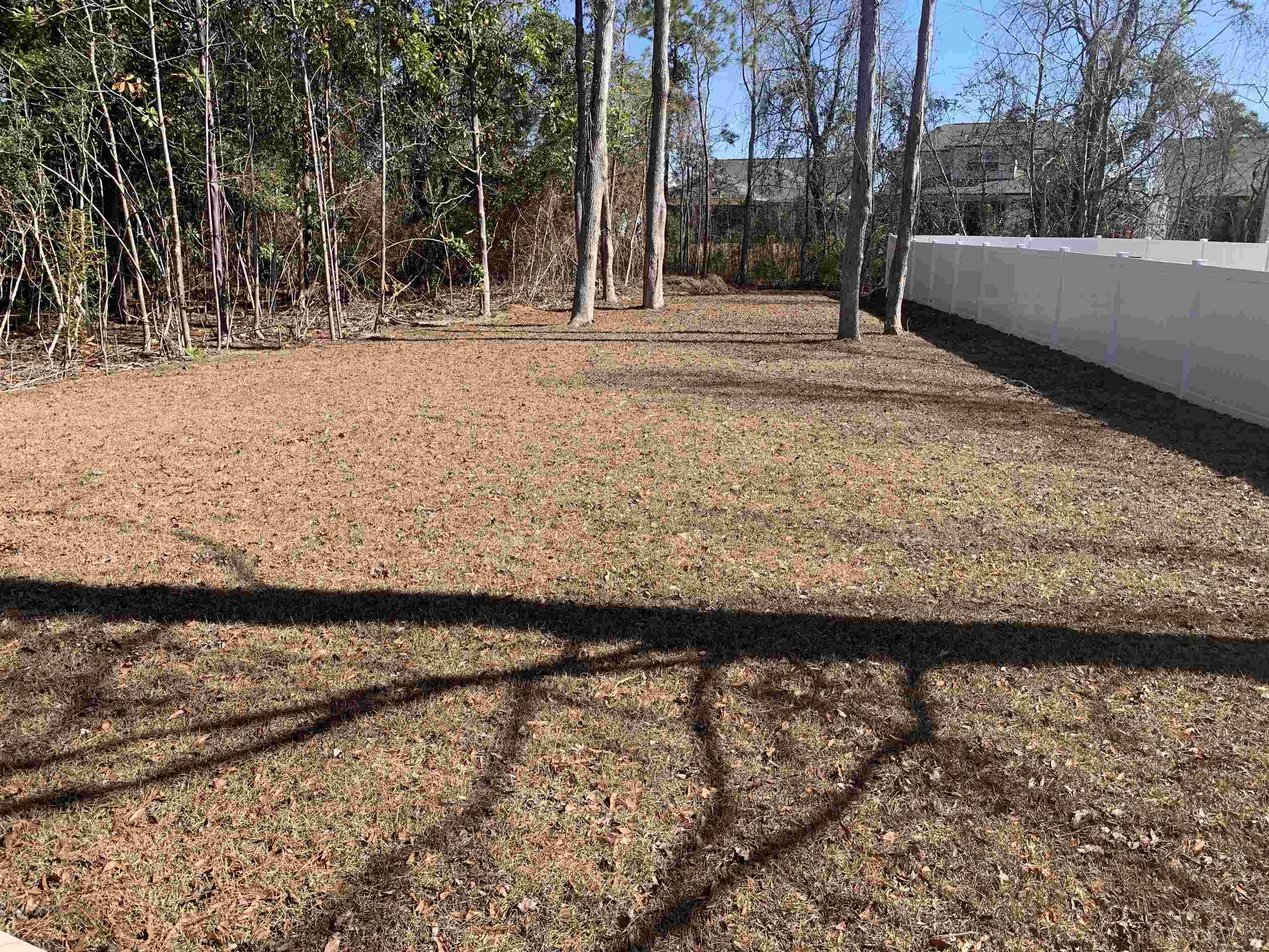 Image 4 Image 4