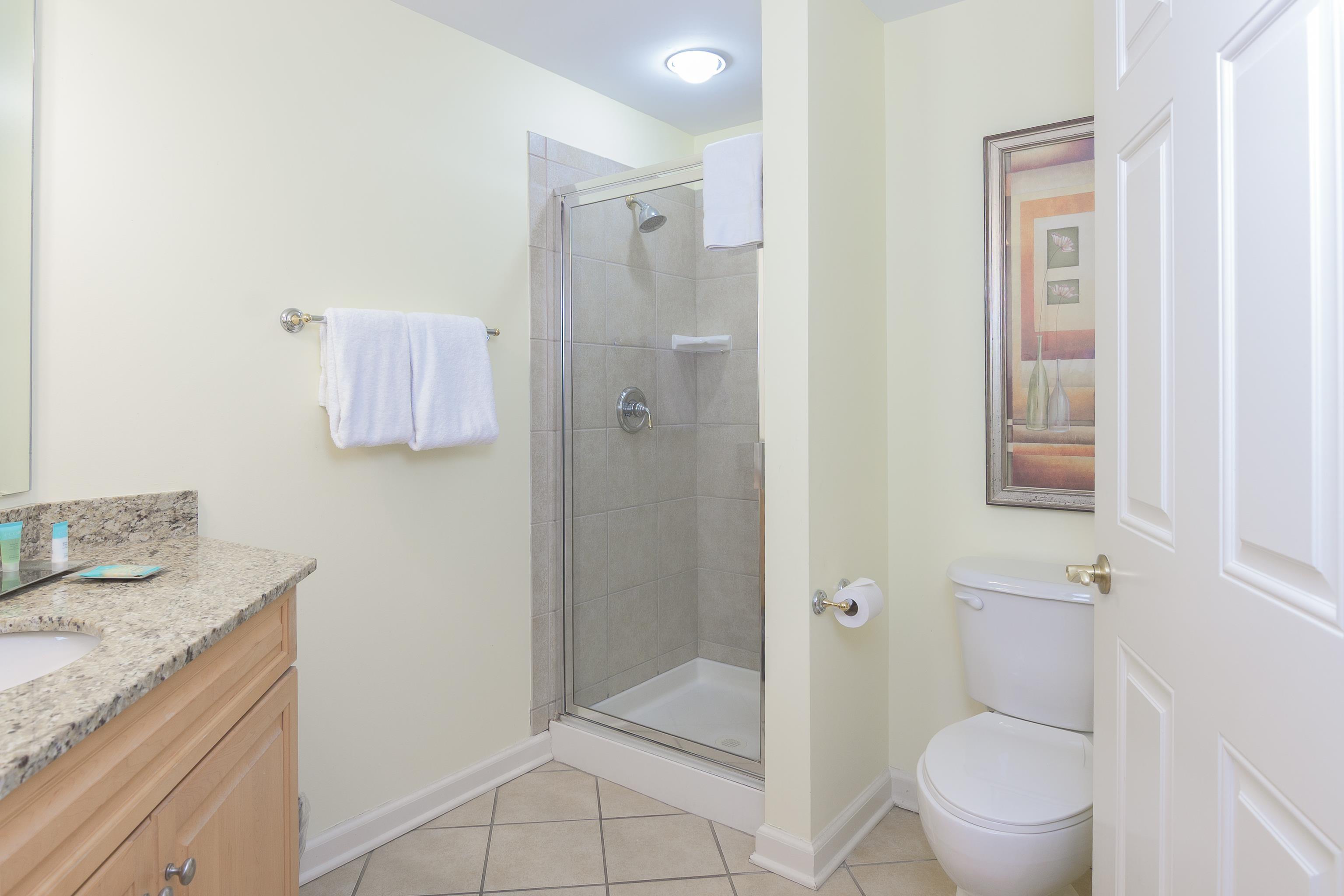 Image 4 Image 4
