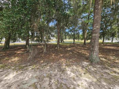 1005 Tarpon Pond Rd.