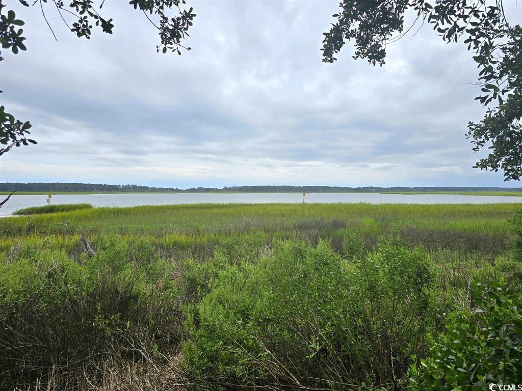 Image 1 Image 1