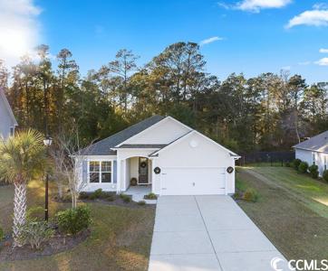 482 Hyacinth Loop