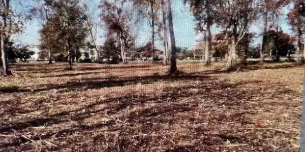 Image 2 Image 2