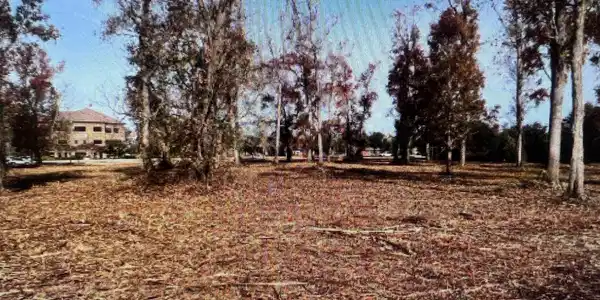 Image 3 Image 3