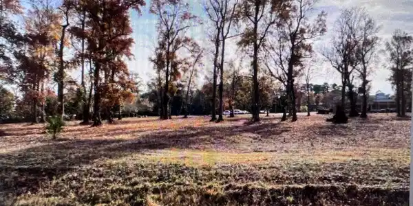 Image 4 Image 4